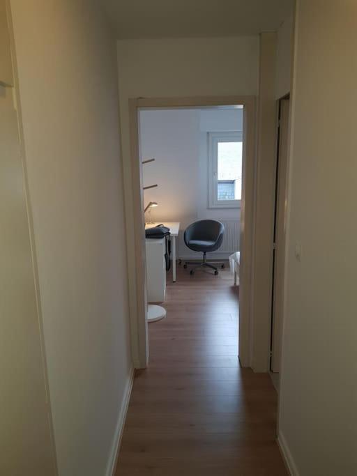 Ferienwohnung Studio De La Petite France Straßburg Exterior foto